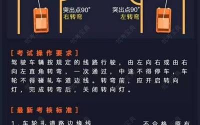 汽车陪练教练要求